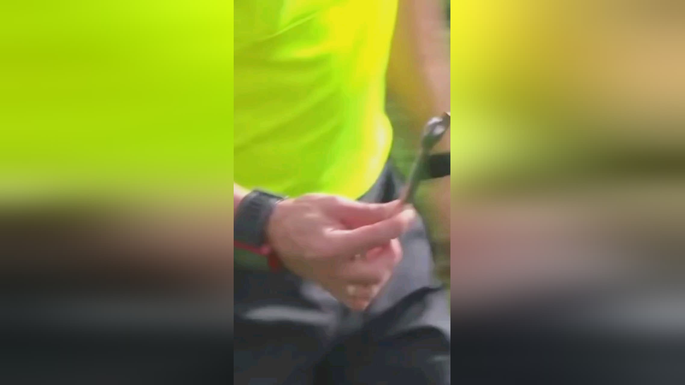 对位分析控