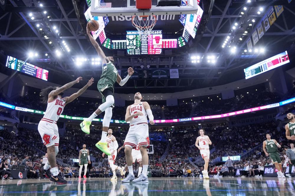 在彼岸寻找 在彼岸寻找